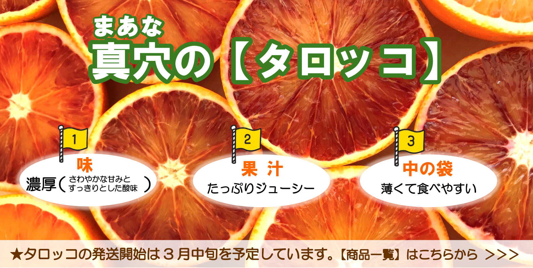 真穴のタロッコ　発送開始は3月中旬を予定しています