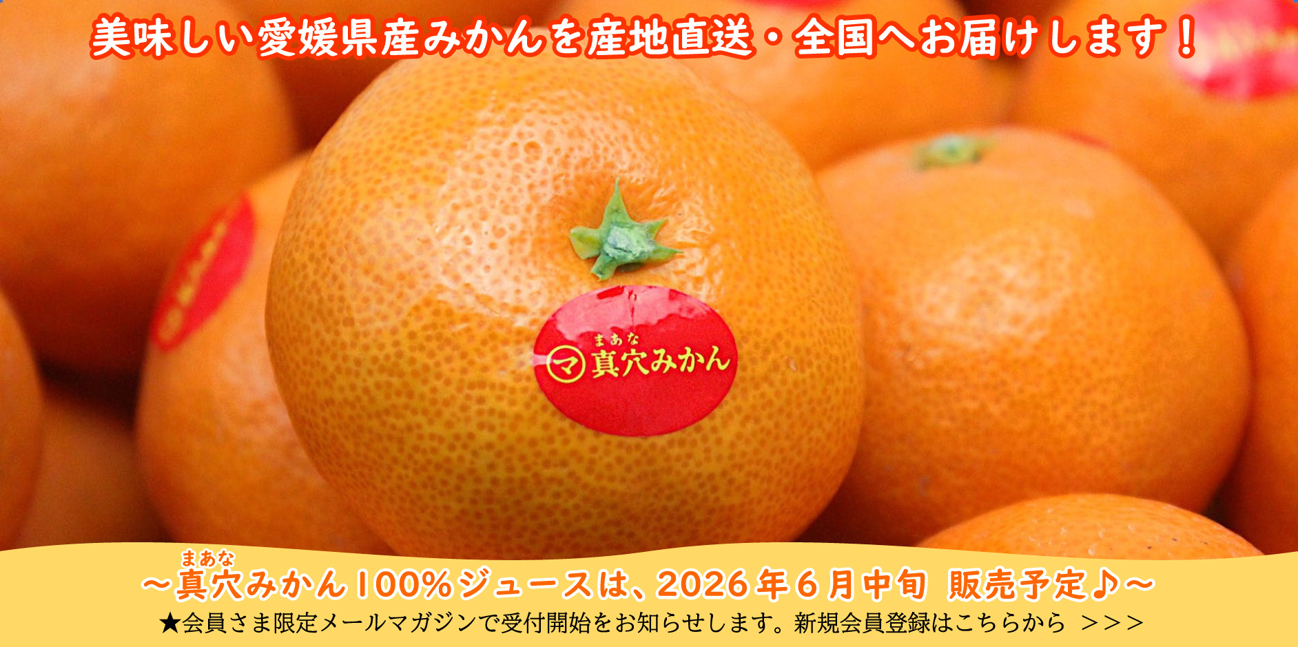真穴みかん100％ジュースは、2026年6月中旬　販売予定