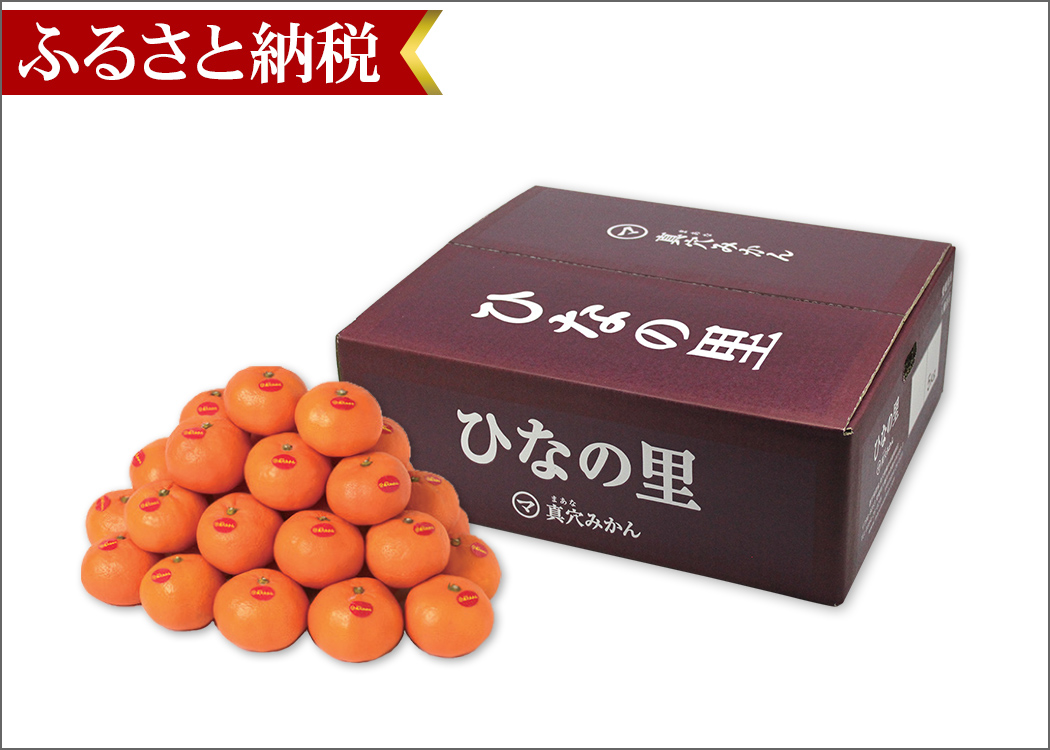 真穴みかん ふるさと納税｜おいしい愛媛のみかん 産地直送＜通販＞｜旬