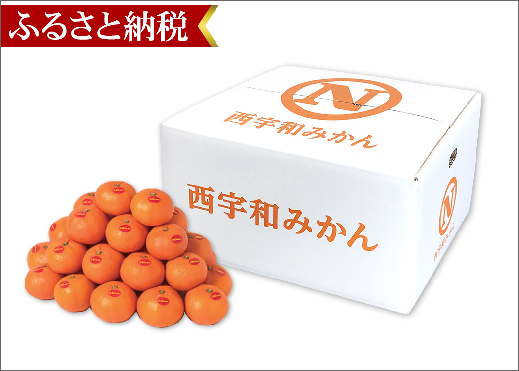 真穴みかん ふるさと納税｜おいしい愛媛のみかん 産地直送＜通販＞｜旬