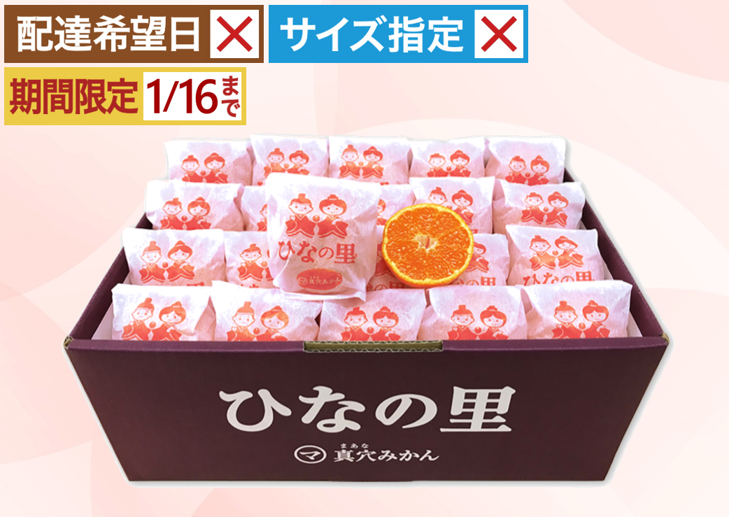 ひなの里 越冬みかん 約3㎏