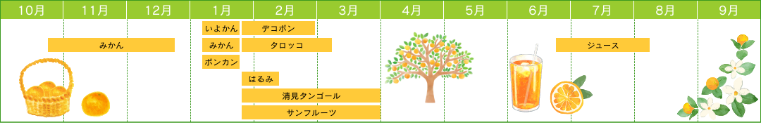 みかん販売カレンダー