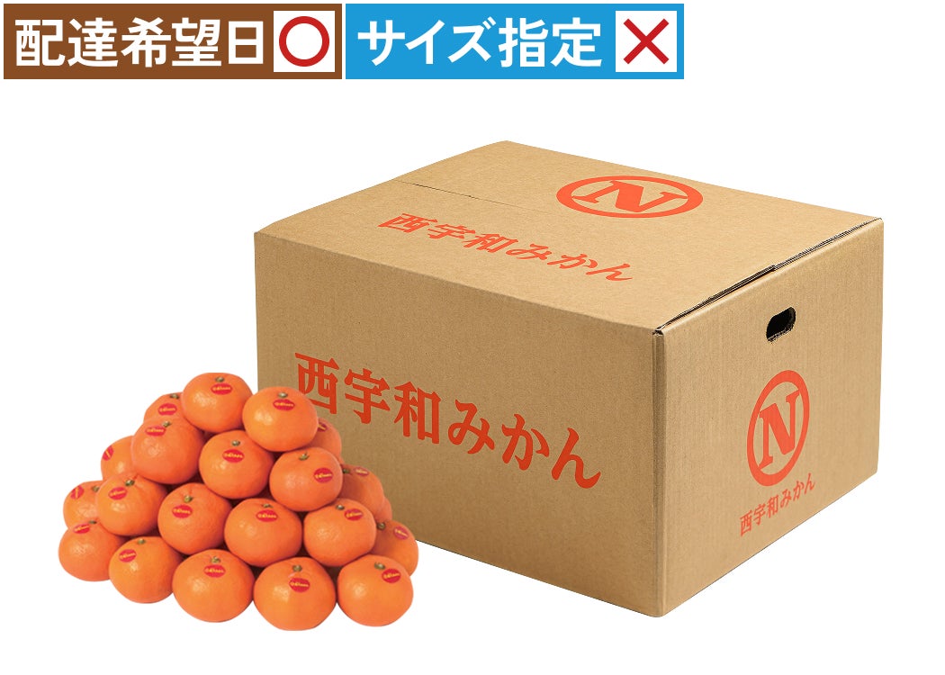 真穴みかん10㎏ L／Mサイズ｜おいしい愛媛のみかん 産地直送＜通販