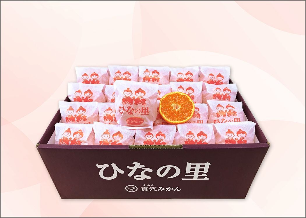 真穴みかん ひなの里 越冬みかん 3㎏｜おいしい愛媛のみかん 産地直送
